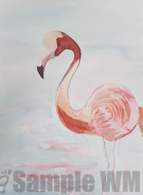 Flamingo 

