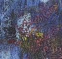 IMG_2237.jpeg